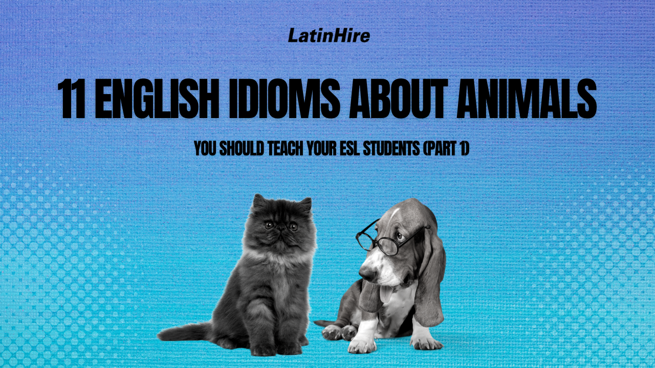 11 English Idioms About Animals You Should Teach Your ESL Students ...